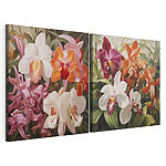 Lámina modular sobre lienzo Orquídeas de colores vivos en plena floración